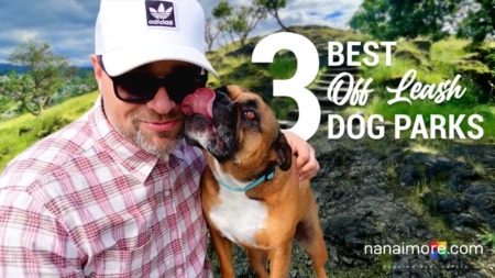 Top 3 Off-Leash Dog Parks in Nanaimo, British Columbia