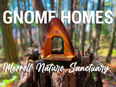 Morrell Nature Sanctuary | Gnome Homes and Fairy Doors