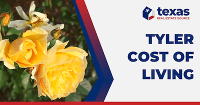 Tyler Cost of Living Guide: 7 Essentials For Your Budget