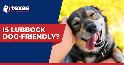 Dog Parks & Dog-Friendly Activities in Lubbock TX