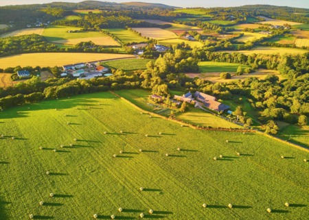 Moo-ve over single-family homes: The hottest real estate investment this year may be farmland