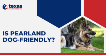 Dog-Friendly Pearland: Exploring Dog-Friendly Restaurants, Parks, Stores & More
