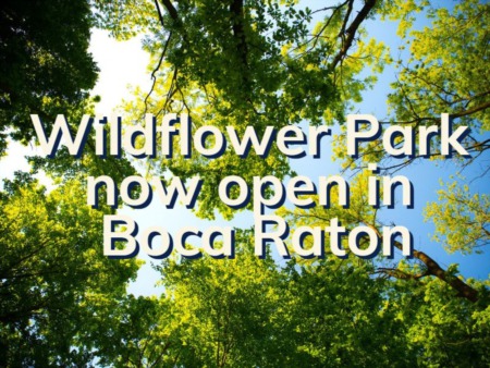 Wildflower Park Boca Raton | Introducing Boca Raton's Newest Public Park