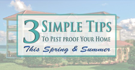 Home Tips Series: Pest-proofing Your Home For Summer