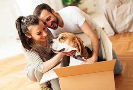 Transitioning Your Pet Into A New Home