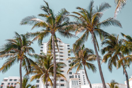 November Edition | Our Quick Recap of Miami Real Estate Market
