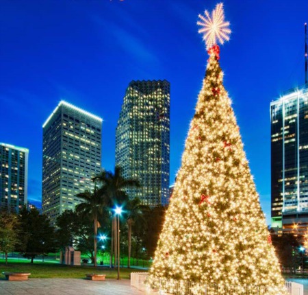 Our monthly Guide! Things To Do in Miami in December!