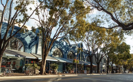Everything You Need to Know About Coconut Grove