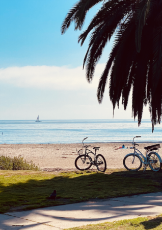 Real Estate in Santa Barbara