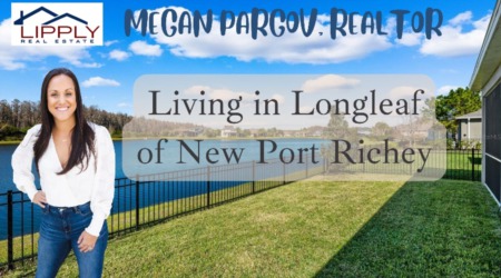 Living in Longleaf of New Port Richey
