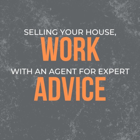 IN SELLING YOUR HOUSE, WORK WITH AN AGENT FOR EXPERT ADVICE!