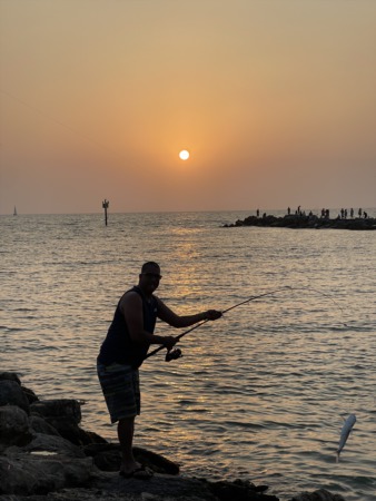 Where to fish in Venice, Florida | Fishing in Sarasota County