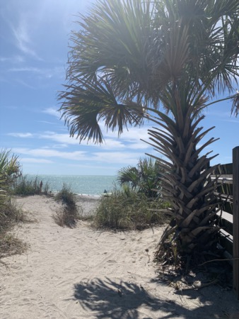 What is Venice Florida Like? | Living in Sarasota County