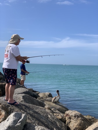 Living in Venice, Florida: A Guide to Enjoying the Sunshine State's Charm