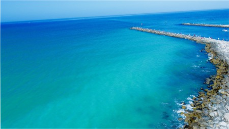 Living in Sarasota, Florida: A Guide to Embracing the Sunshine State's Vibrant Culture