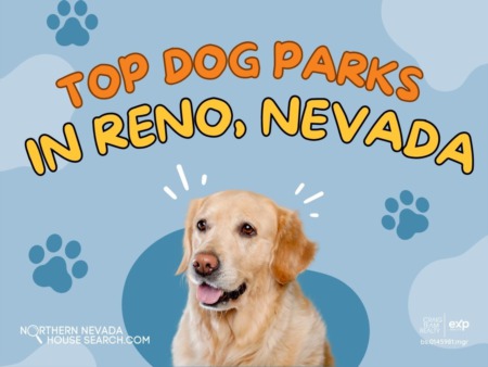 Best Dog Parks In Reno Nevada