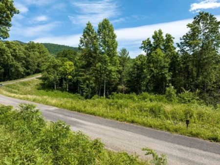 Listing: Lot #54 W Of Dry Hill Rd., Butler, TN 37640