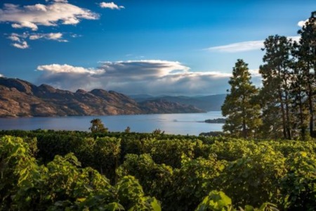 Must Know BEFORE Moving to West Kelowna