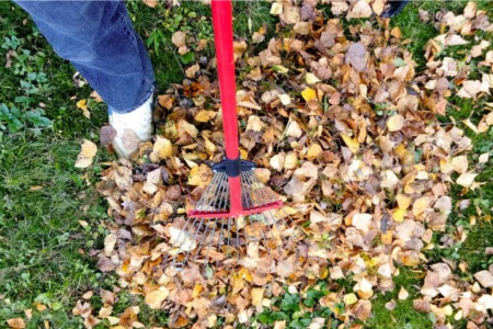 Fall Yard Cleanup: 8 Shortcuts for Easy Care