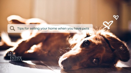 Tips for Selling your home with Pets