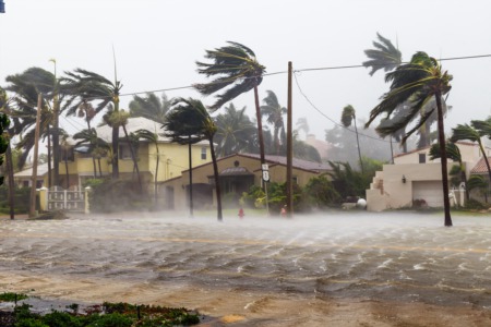 Florida Homeowners Insurance Market - A Changing Landscape