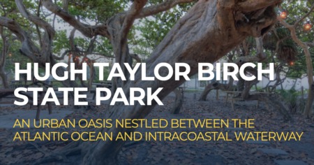 Discover the Natural Gem of South Florida: Hugh Taylor Birch State Park