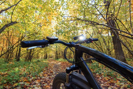 Things to Do in Boise