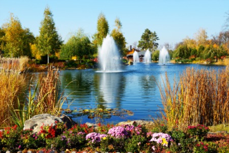 Should You Add a Water Feature to Your Backyard?