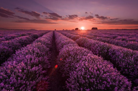 Day Trips From Boise, Idaho