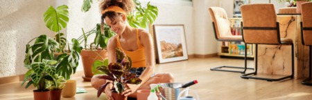 7 Tips for Creating a Healthier Home in the New Year