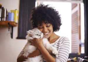 Tips for a Stress-Free Move with Your Pet