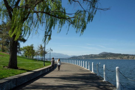 Goodbye 2020 Year End Market Report For Kelowna BC