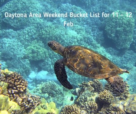 Daytona Area Weekend Bucket List: February 11 and 12