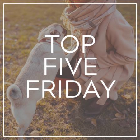 Best Fall Things To Do In Austin, Texas