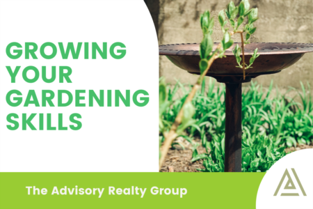 Growing Your Gardening Skills