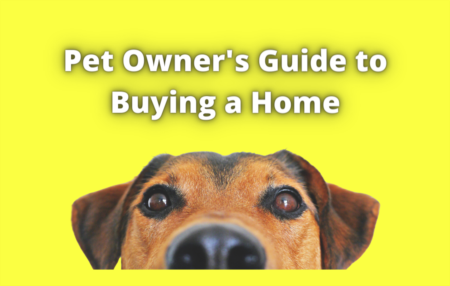 Pet Owner's Guide to Buying a New Home | 5 Things to Consider for Your Furry Friends