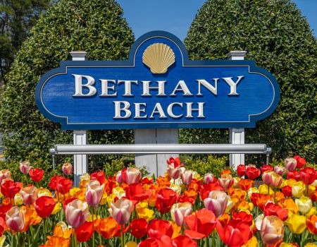 Top 5 Best Places to Live in Delaware: City and Town Spotlight