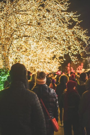 Where Calgary Homes Shine - Best Holiday Light Shows