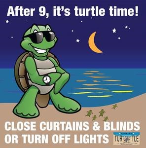 Sea Turtle Nesting Season 2018