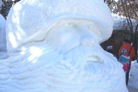 Things to Do in Boise in January