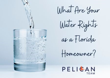 What Are Your Water Rights as a Florida Homeowner?