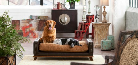 Pet Friendly Home Guide | 4 Tips To Make Your Boca Home Pet Friendly