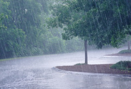 The Best Rainy Day Activities in Boca Raton | Indoor Activities In Boca