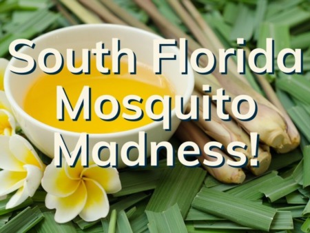 South Florida Mosquito Control | 4 Ways To Protect Your Boca Home
