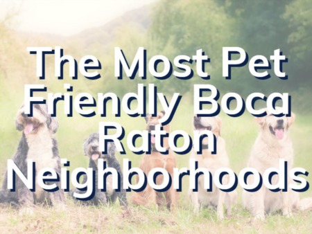 The Most Pet Friendly Boca Raton Neighborhoods | Boca Raton Real Estate