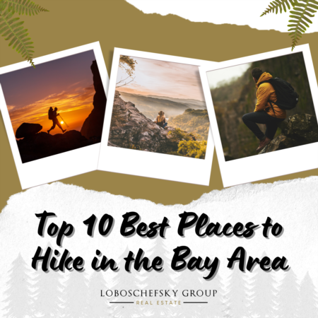 Top 10 Best Places to Hike in the Bay Area