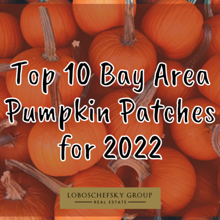 Top 10 Bay Area Pumpkin Patches for 2022