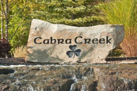 Take a look at Cabra Creek for half  acre lots