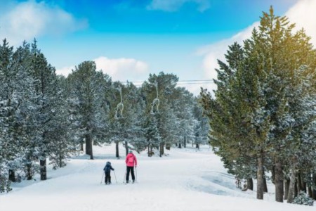 5 extreme things to do this winter
