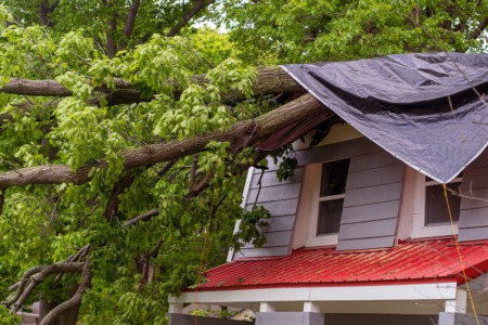 Are You a Homebuyer Worried About Climate Risks?